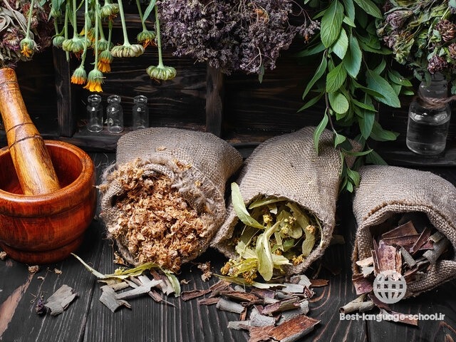 بهترین آموزشگاه های طب سنتی بیرجند