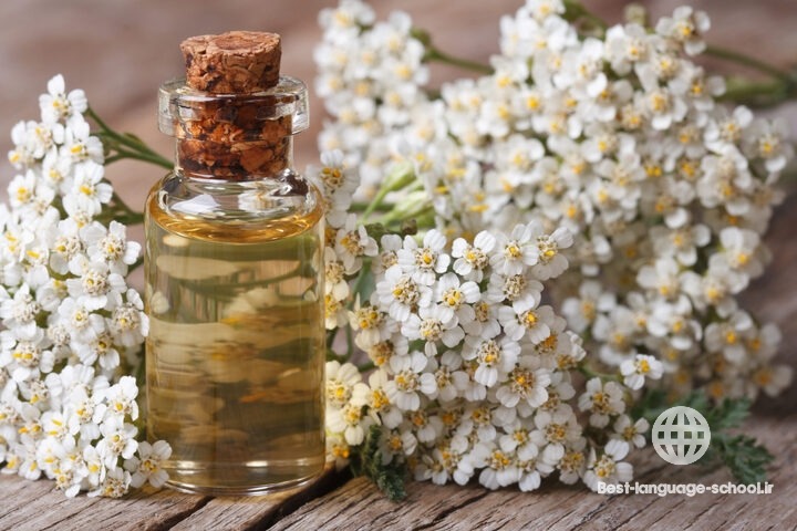 هترین آموزشگاه های طب سنتی رشت