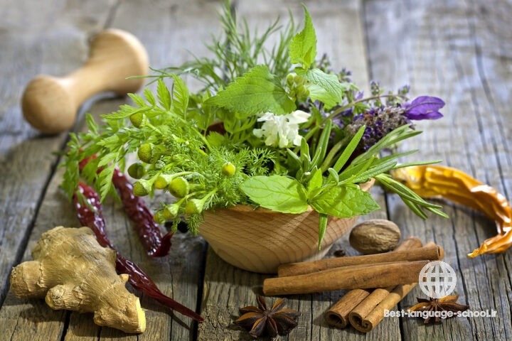 بهترین آموزشگاه های طب سنتی زاهدان