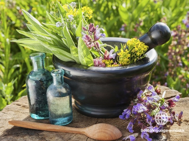 بهترین آموزشگاه های طب سنتی ساری