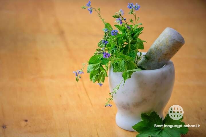 بهترین آموزشگاه های طب سنتی قزوین