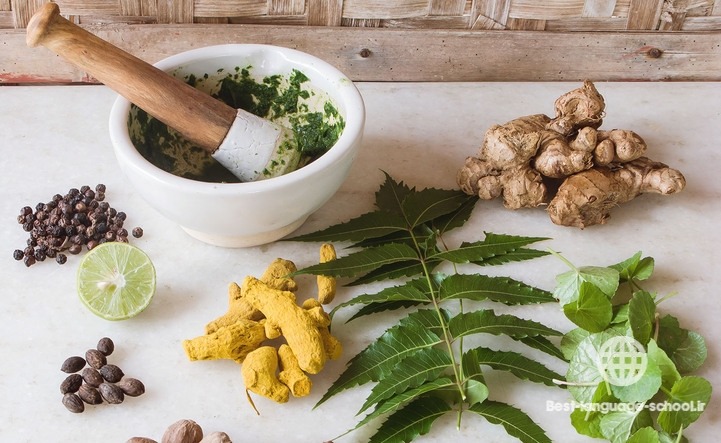 بهترین آموزشگاه های طب سنتی قم