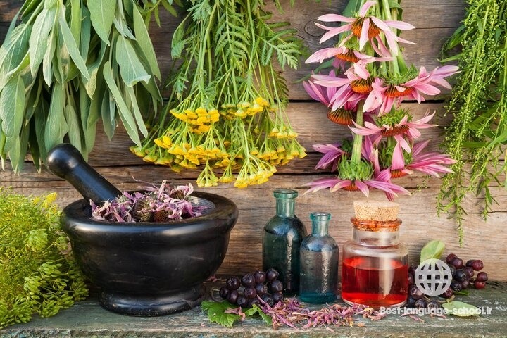 بهترین آموزشگاه های طب سنتی سمنان