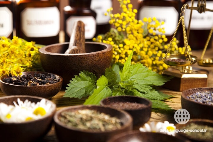 بهترین آموزشگاه های طب سنتی قم