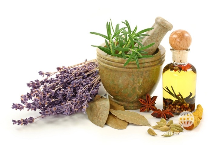 بهترین آموزشگاه های طب سنتی کرمان