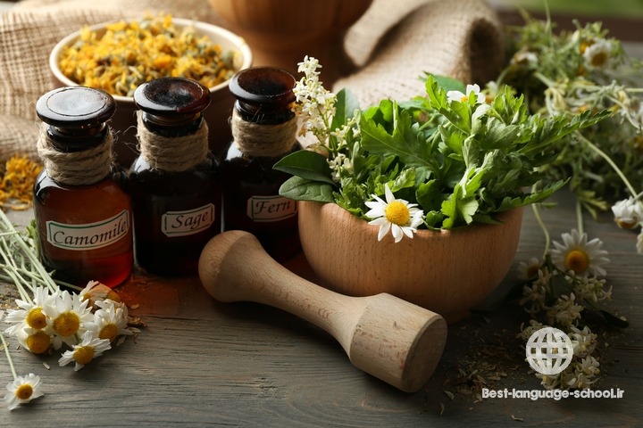 بهترین آموزشگاه های طب سنتی گرگان