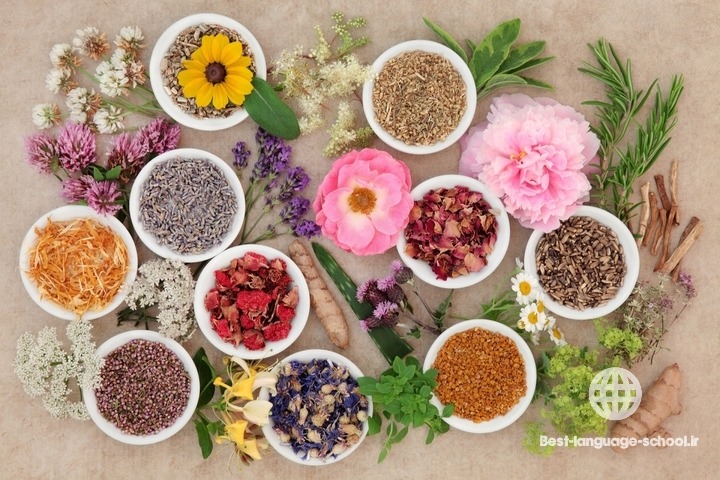 بهترین آموزشگاه های طب سنتی گرگان