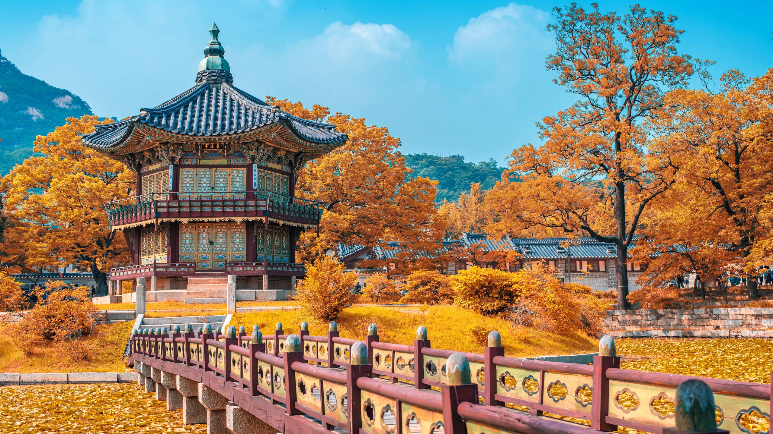 بهترین آموزشگاه های زبان کره ای اراک