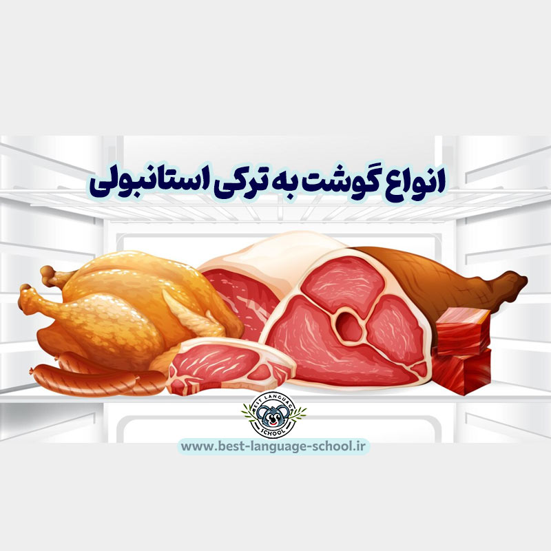 انواع گوشت به ترکی استانبولی